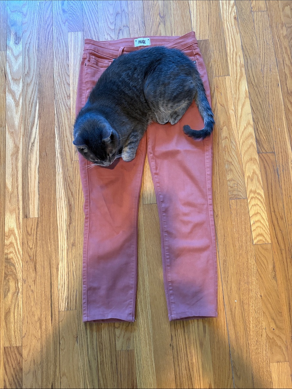 PAIGE Women's Terracotta Skinny Jeans Size 27 (cat approved 😂)
